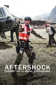 新忠烈图